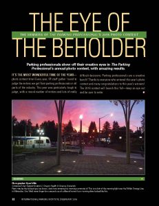 tpp-2016-02-the-eye-of-the-beholder_page_1